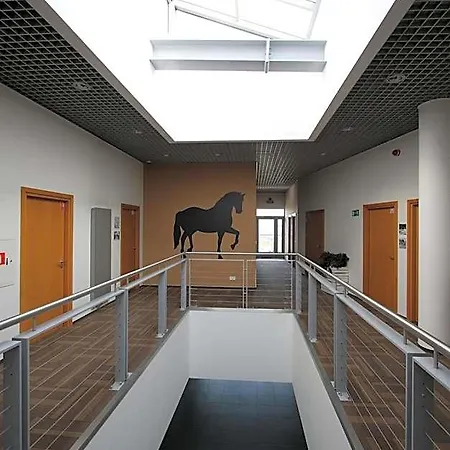 Hipodrom אכסניה סופוט