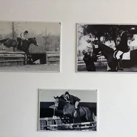 אכסניה Hipodrom *