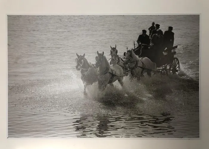 Hipodrom Vandrerhjem